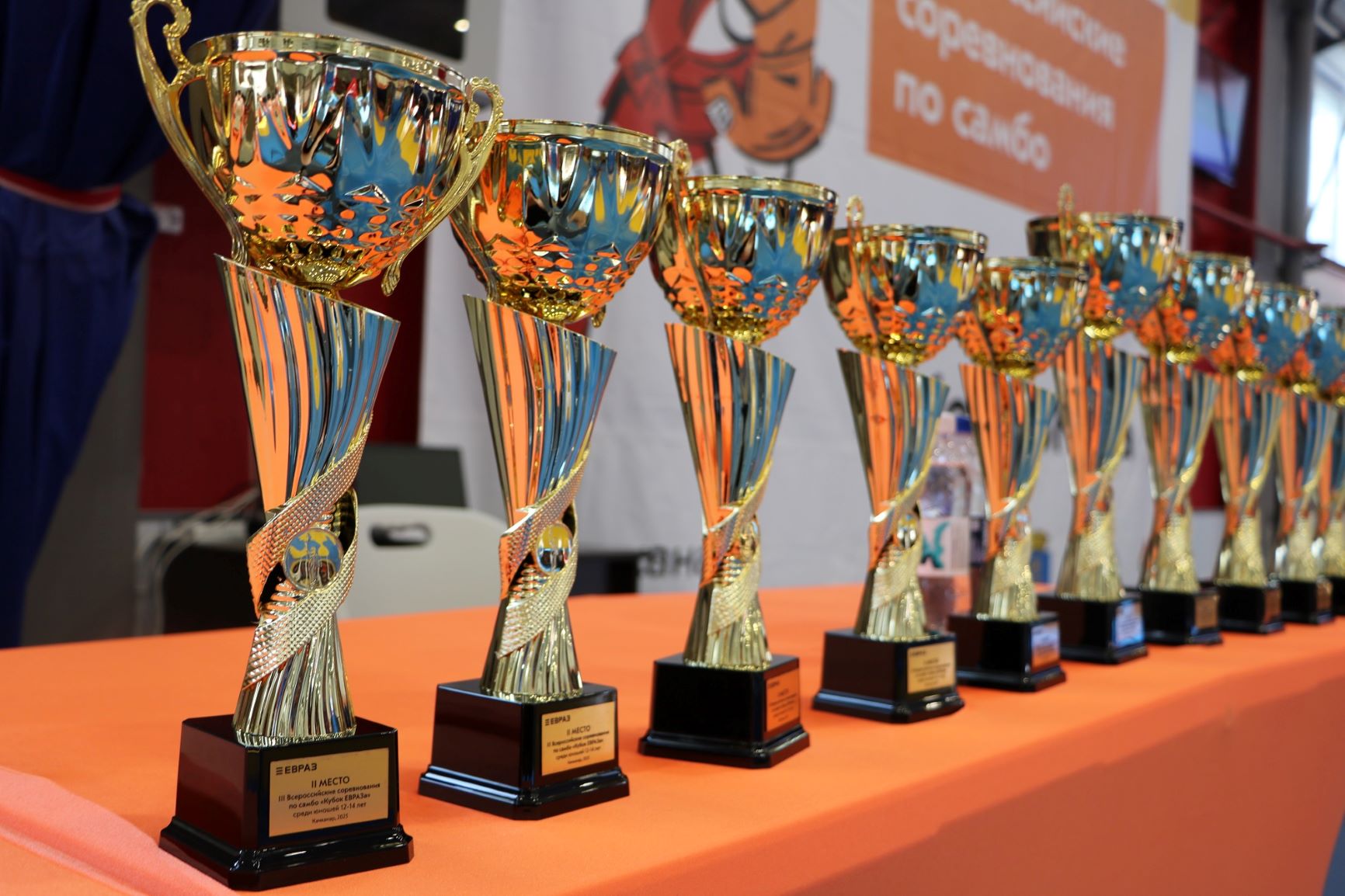 Фото - Кубок ЕВРАЗа по самбо на Урале собрал спортсменов со всей России